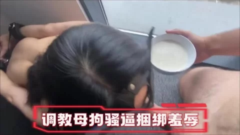 调教母狗一边吃鸡一边喝豆浆